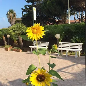 Fiori Gialli Caucana , Santa Croce Camerina Italia