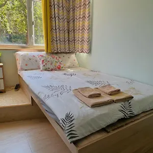 Amu Dreamhouse 阿木旅舍 Hostel